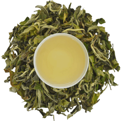 tea manufacturers in India - white tea