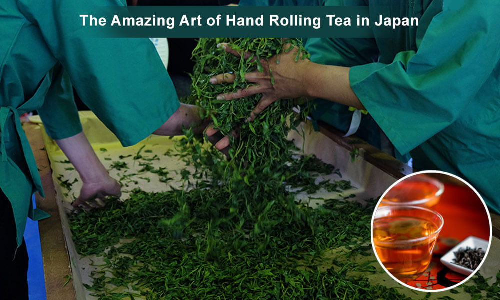 The Amazing Art of Hand Rolling Tea in Japan