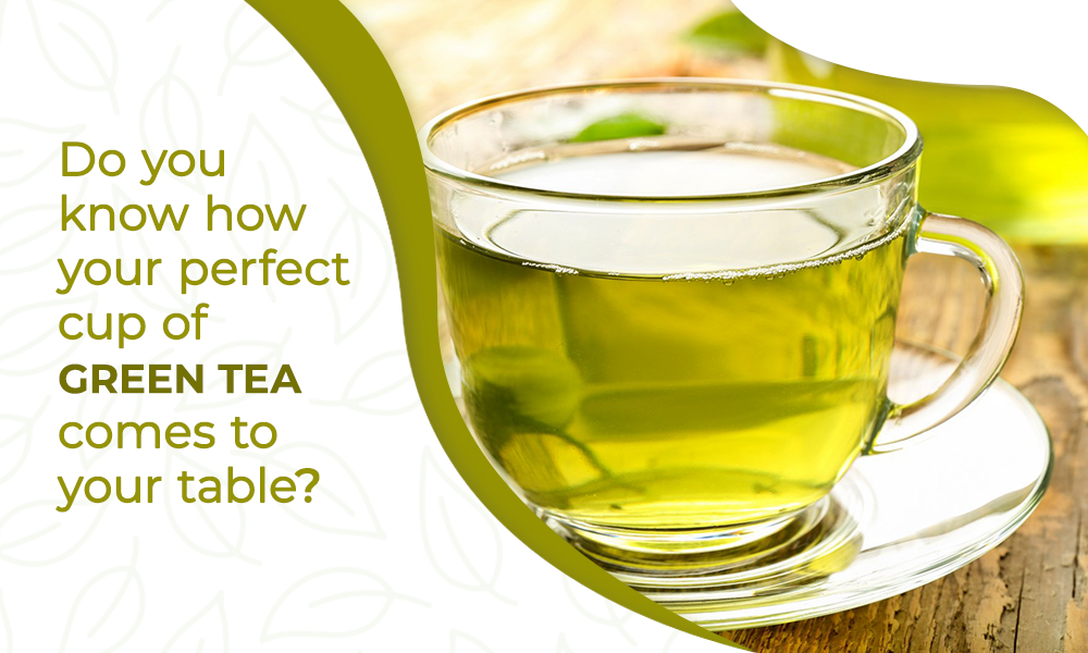 Do you know how your perfect cup of green tea comes to your table?