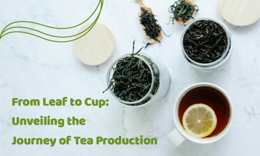 From Leaf to Cup: Unveiling the Journey of Tea Production