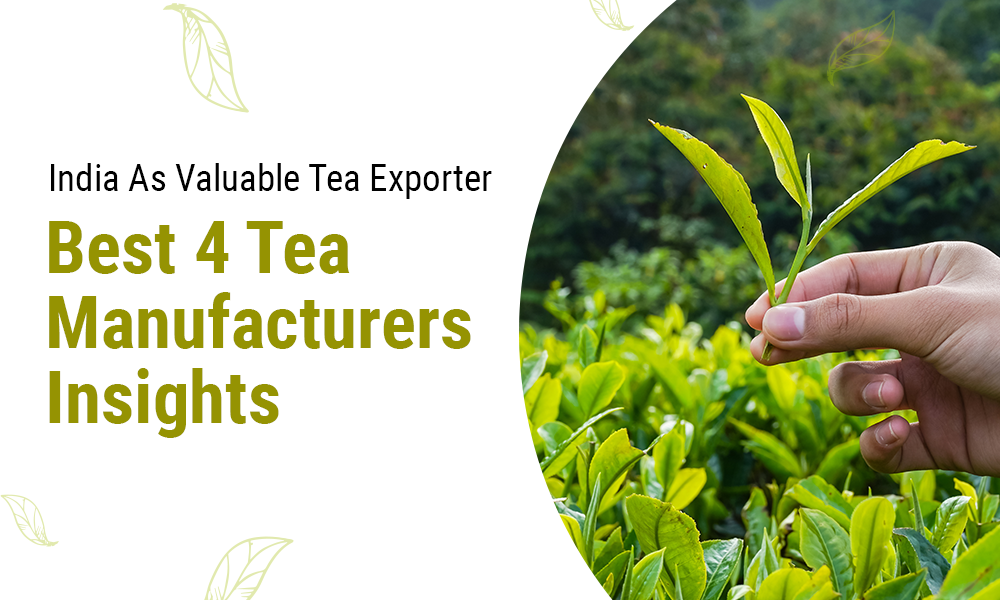 India As Valuable Tea Exporter: Best 4 Tea Manufacturers Insights