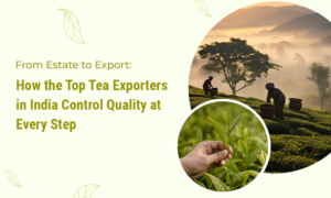 From Estate to Export How the Top Tea Exporters in India Control Quality at Every Step