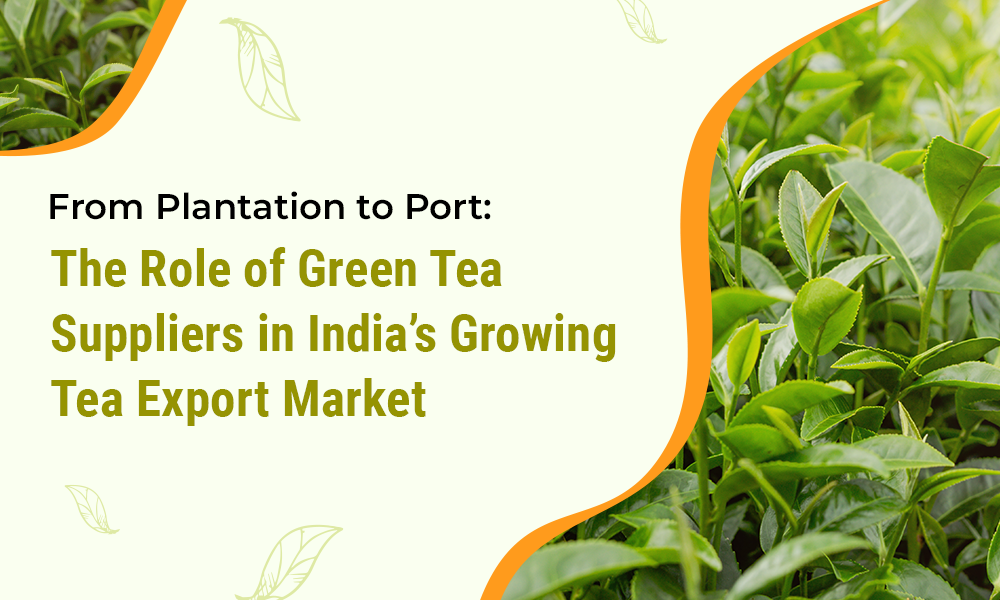 The Role of Green Tea Suppliers in India’s Growing Tea Export Market