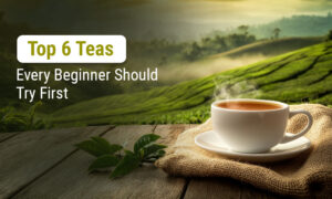 Top 6 Teas Every Beginner Should Try First