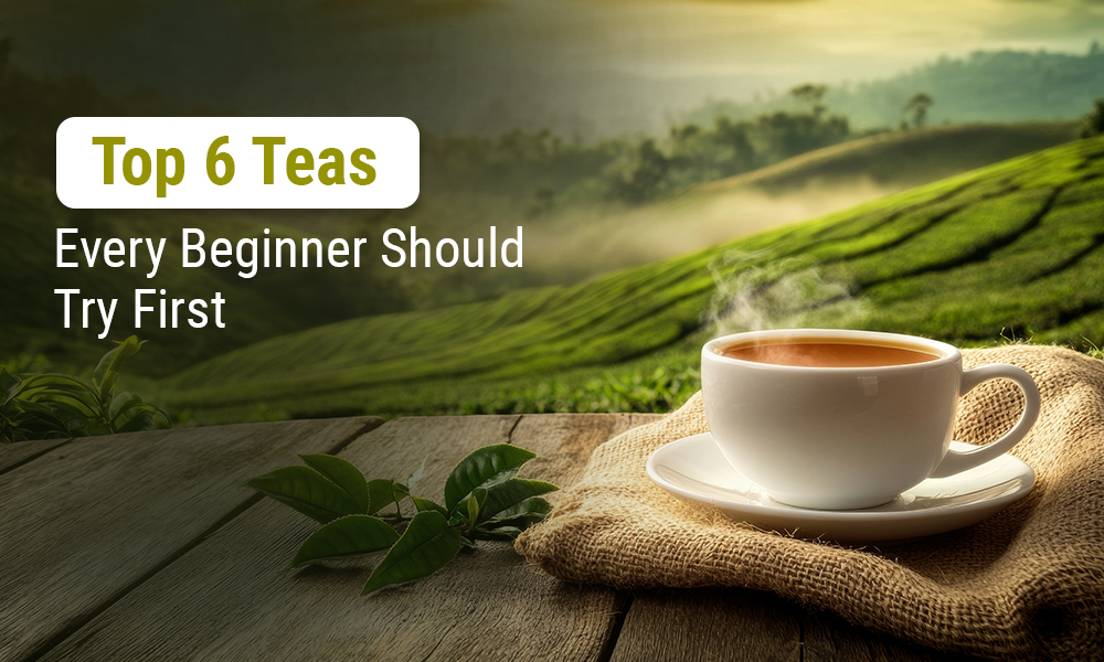 Top 6 Teas Every Beginner Should Try First